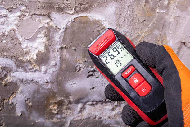 Best Commercial Mold Removal  in Sayville, NY